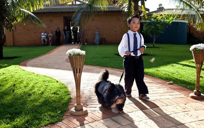 Cachorrinho