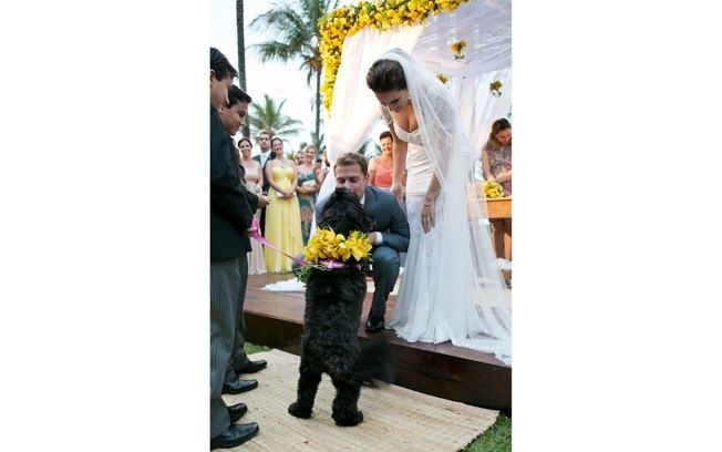 Cachorrinho