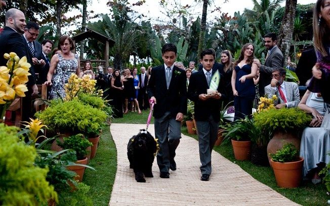 Cachorrinho