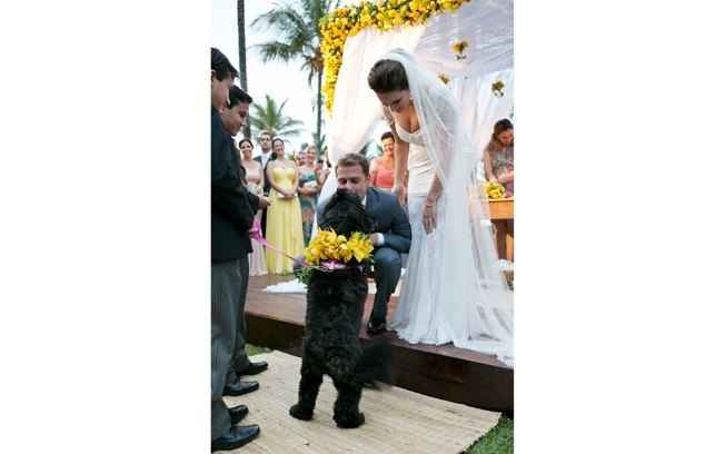 Cachorrinho