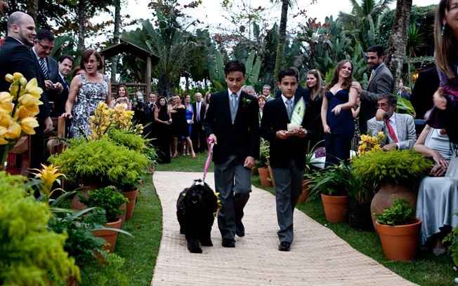 Cachorrinho