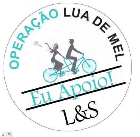 Adesivo - Operação lua de mel