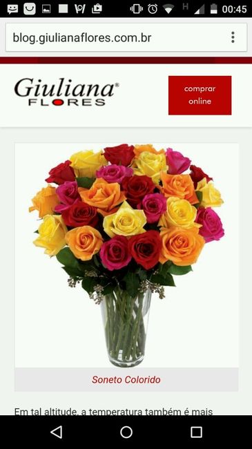 Cores da minha decoração de festa - 2