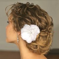 penteado