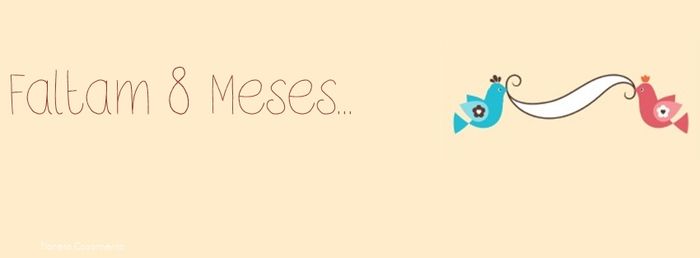 8 meses