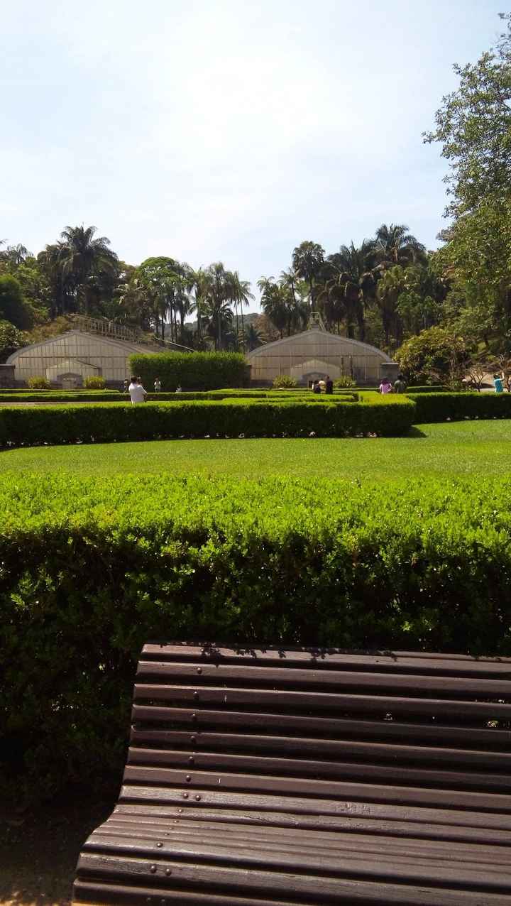 Jardim botanico