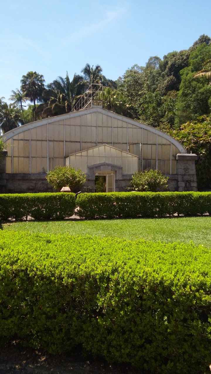 Jardim botanico