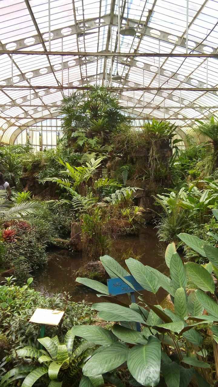 Jardim botanico