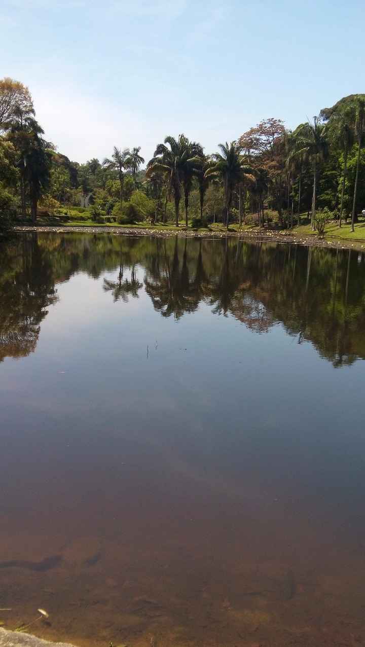 Jardim botanico