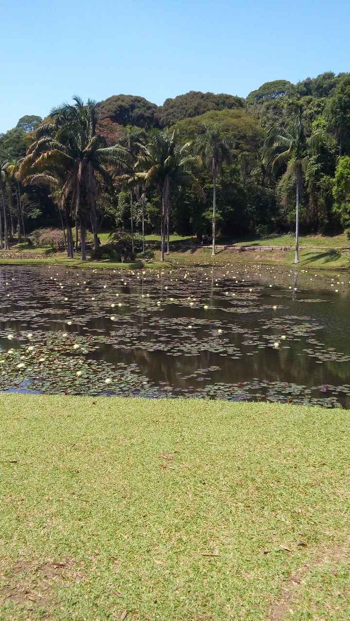 Jardim botanico