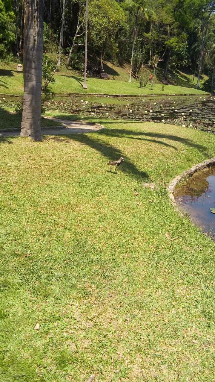 Jardim botanico