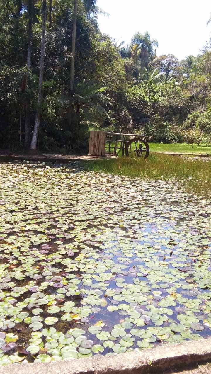 Jardim botanico