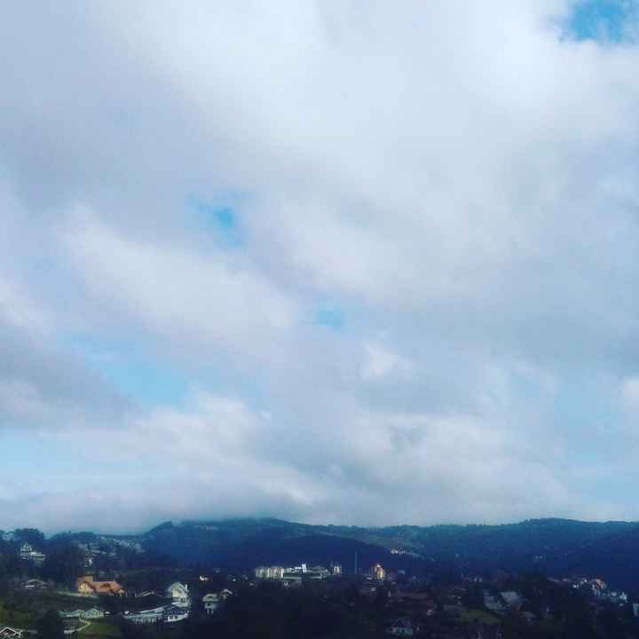 Lua de mel