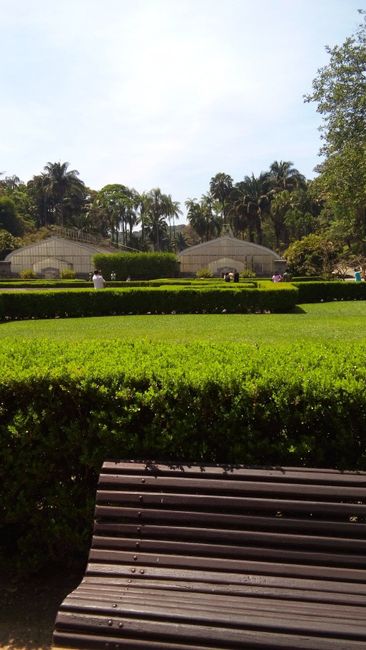 Jardim botanico