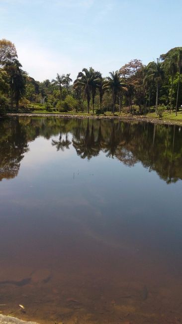 Jardim botanico