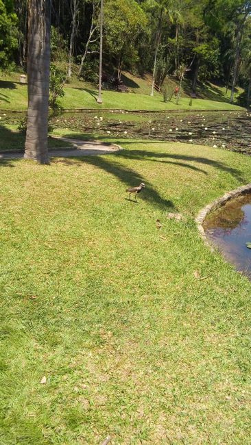 Jardim botanico