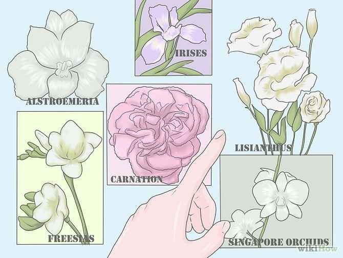 Bouquet de noivas - Passo 1 