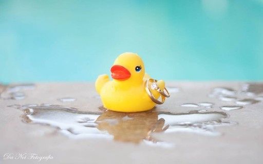 Quem pagou o pato?