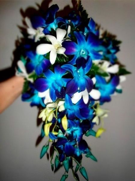 Buquê de Orquídeas Azuis