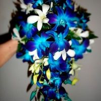Buquê de Orquídeas Azuis