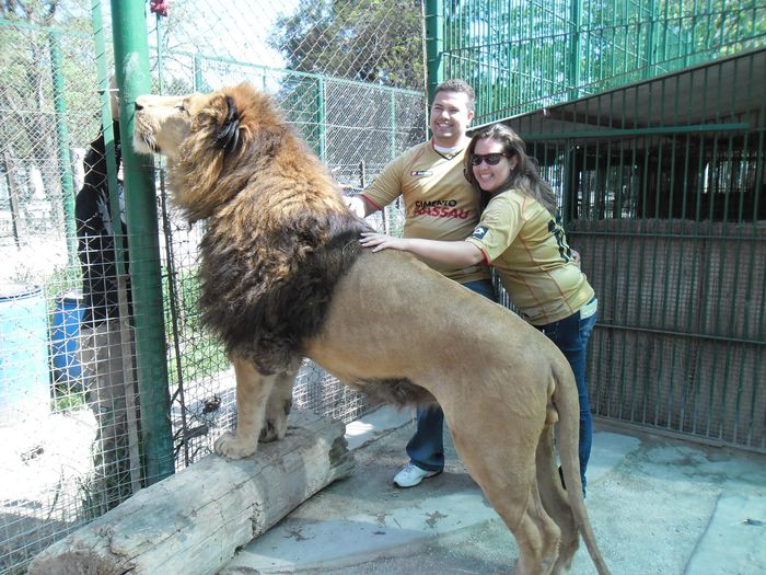 Zoo de lujan-Argentina