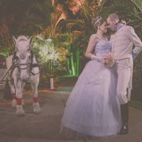 Casamento dos Sonhos
