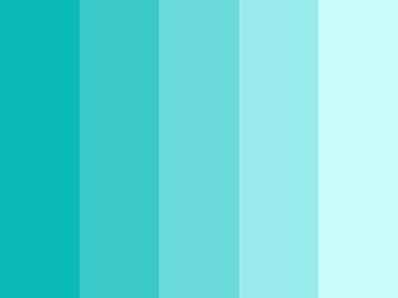 paleta 2