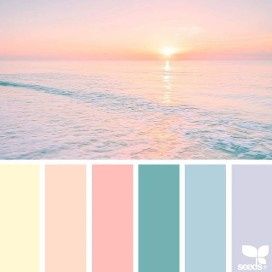 paleta 13