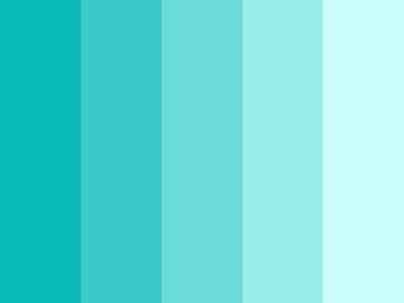 paleta 2