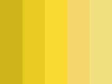 paleta 14