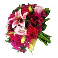 Qual sera a cor do sapato de vocês ? - 1