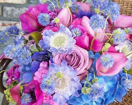 rosa azul e lilas