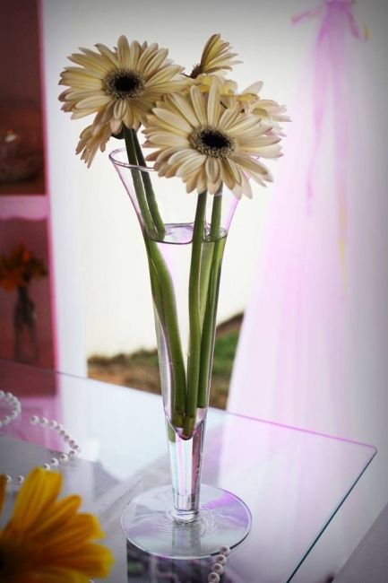 decoração