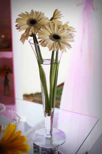 decoração