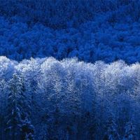 Inverno