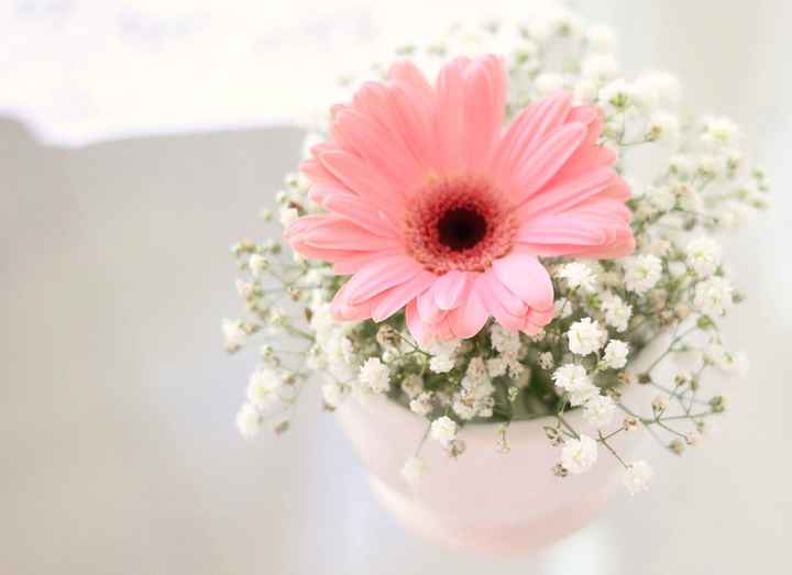 Arranjo simples com mosquitinho e uma gerbera de cor diferente pra contrastar!