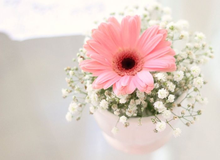 Arranjo simples com mosquitinho e uma gerbera de cor diferente pra contrastar!