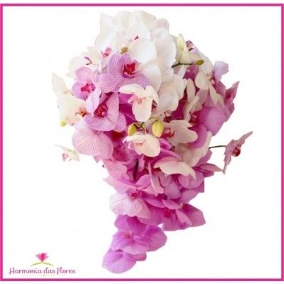 orquídeas brancas e rosas