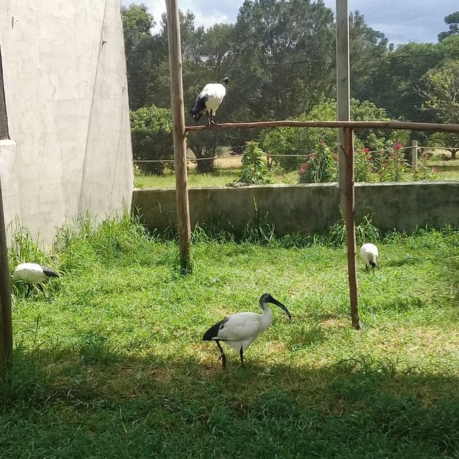 Lua de mel em Poços de Caldas 3