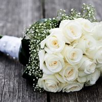 Rosas brancas e gipsófilas