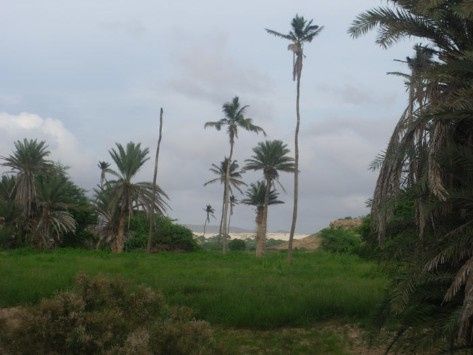 Cabo verde, destino para lua de mel, e ferias 5