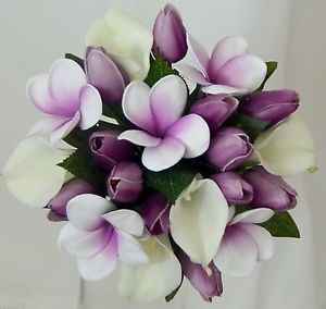 tulipa, lírio e orquídeas