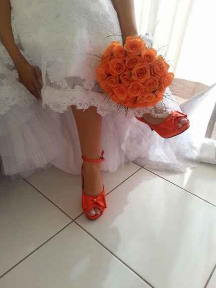 Imagem 15