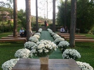 Margaridas na decoraçao