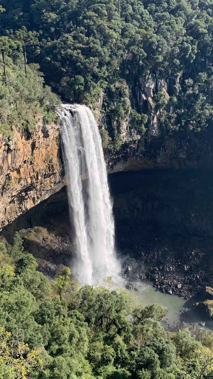 Viagem de Lua de Mel (gramado) - 3