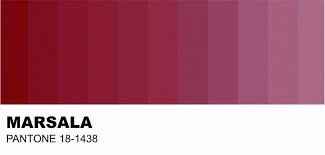 Paleta de cores