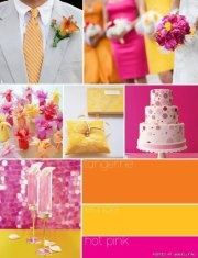 Paleta de cores