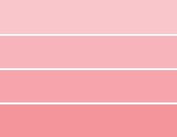 Como descobrir o verdadeiro Rosa? 5