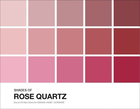 Paleta de Cores