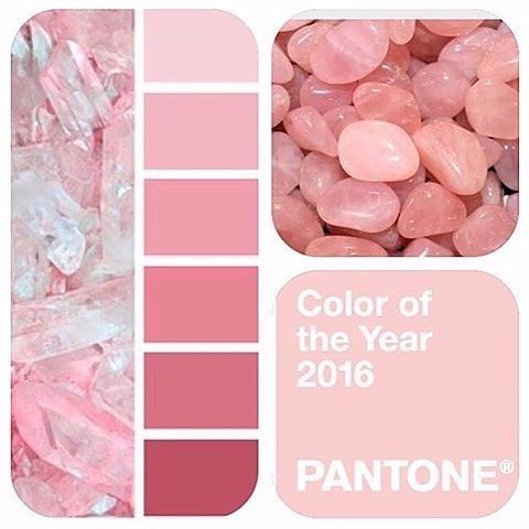 Paleta de Cores